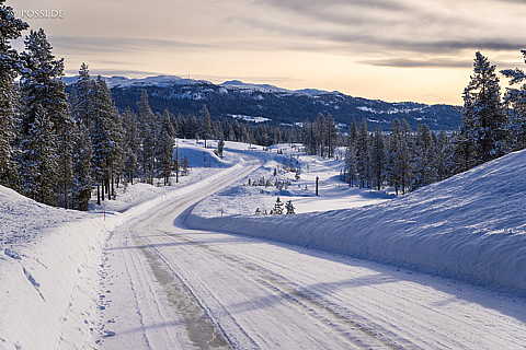 240219-10321845.jpg