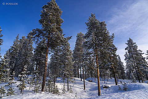 240219-10325424.jpg