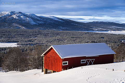 240219-10393145.jpg