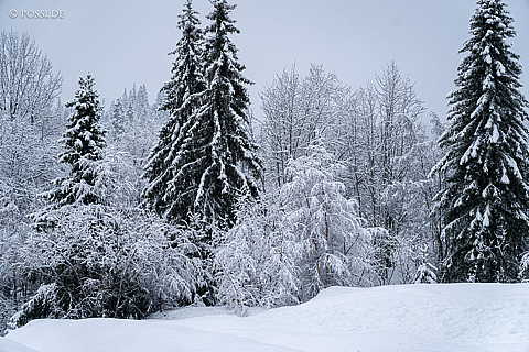 240223-08570039.jpg