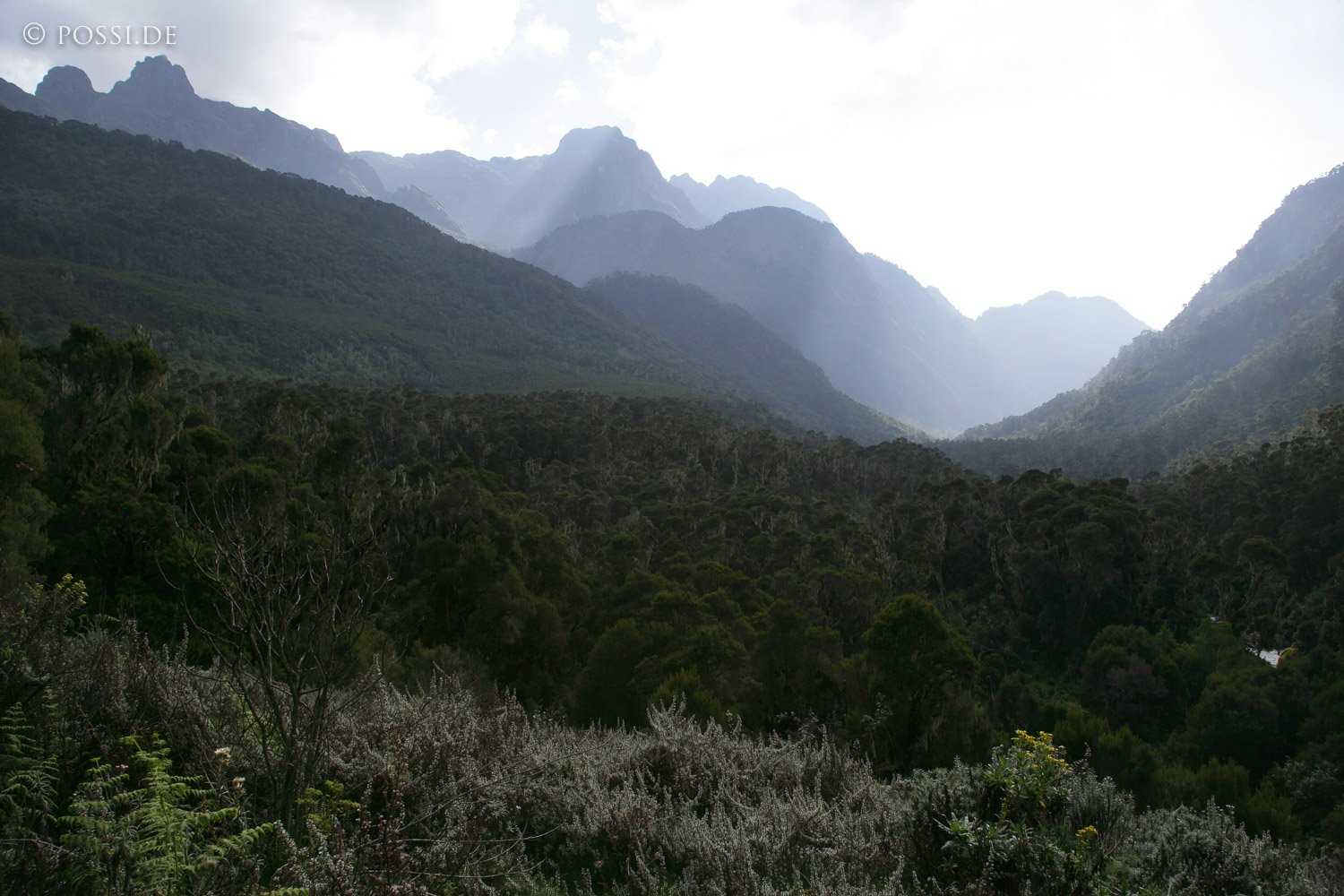 060221-1134.jpg