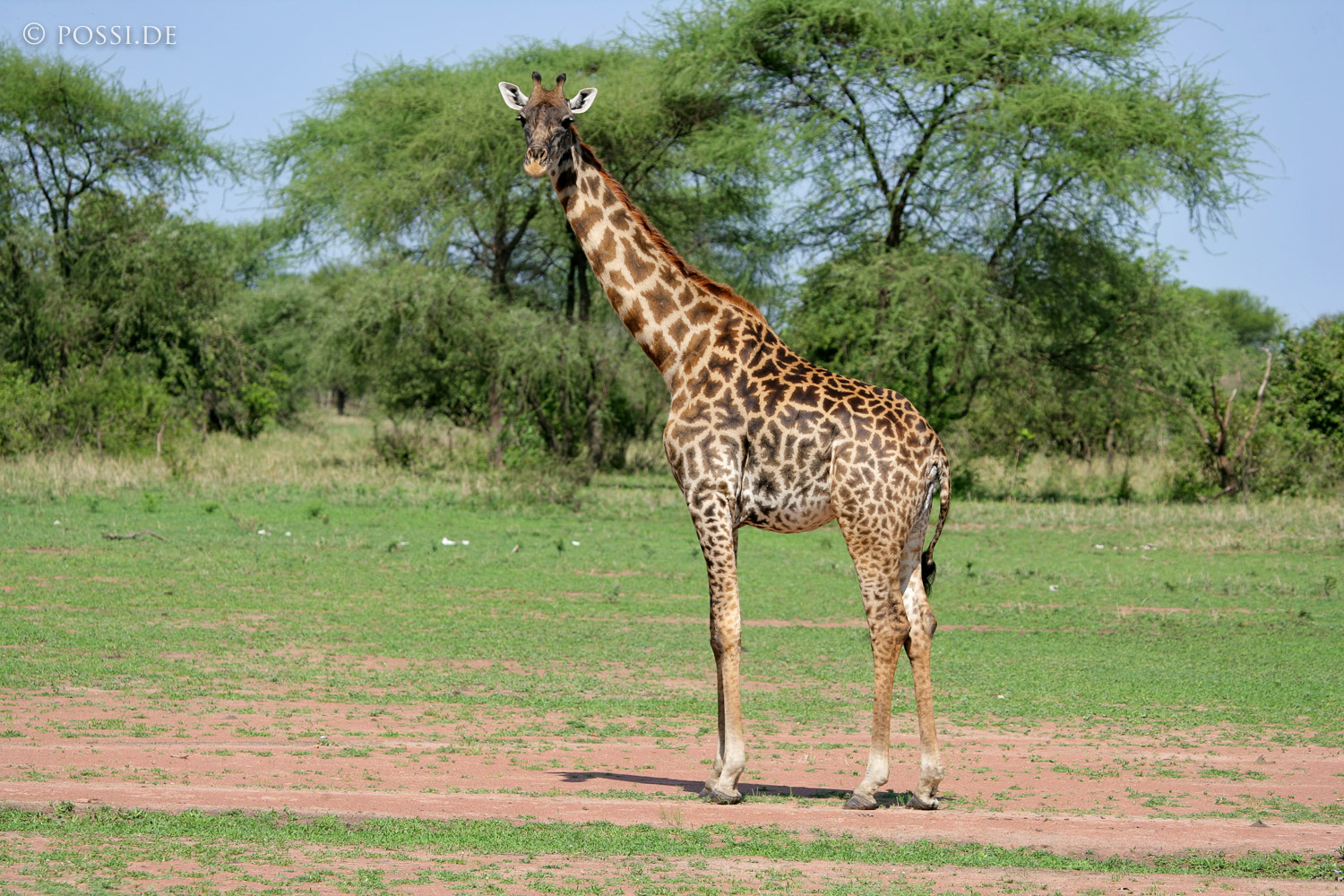 060303-3403.jpg
