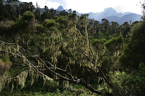 060221-1159.jpg