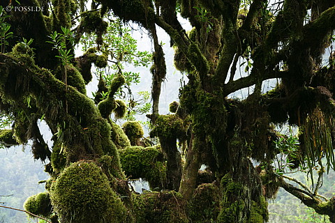 060221-1178.jpg