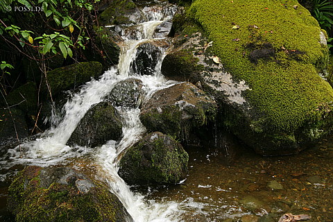 060221-1190.jpg