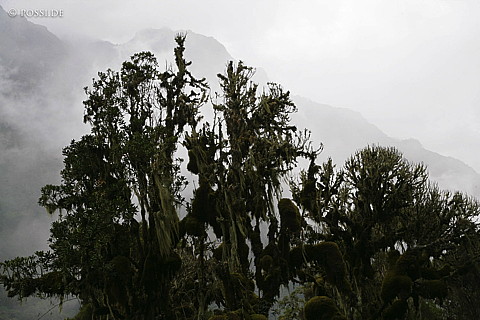 060221-1194.jpg