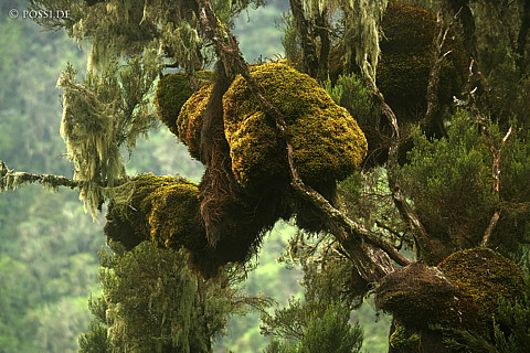 060221-1209.jpg