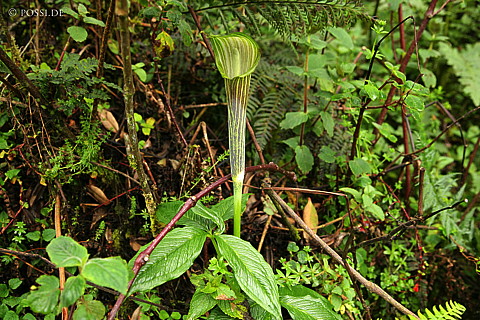 060221-1210.jpg