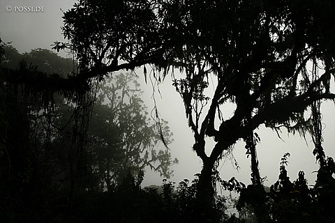 060221-1212.jpg