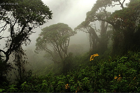 060221-1220.jpg