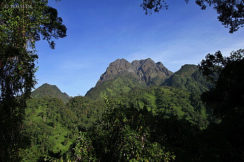 060222-1237.jpg