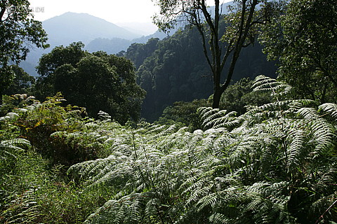 060222-1245.jpg
