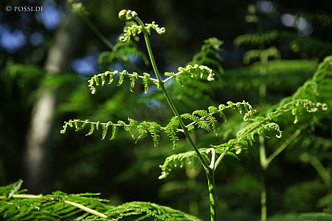 060222-1252.jpg