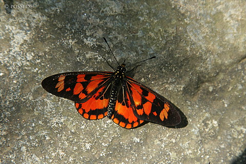 060222-1337.jpg