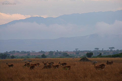 060223-1453.jpg