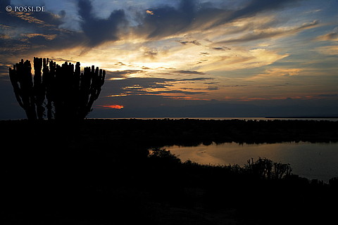 060223-1862.jpg