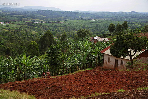 060225-2117.jpg