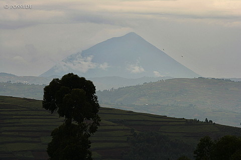 060225-2126.jpg