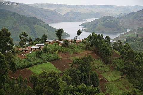 060225-2143.jpg