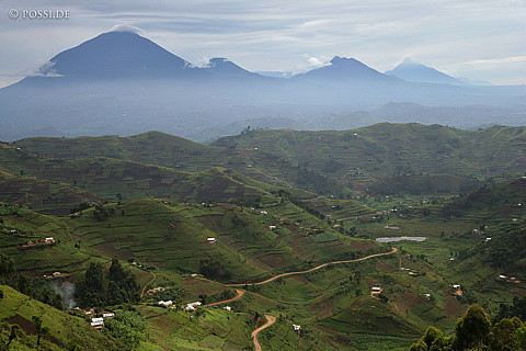 060225-2146.jpg