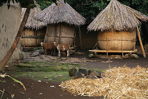 060226-2234.jpg