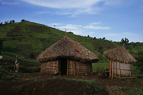 060226-2242.jpg