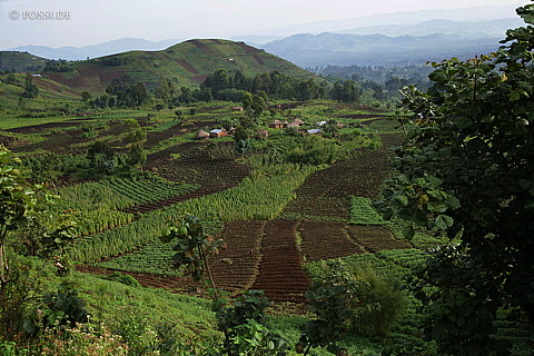 060226-2254.jpg