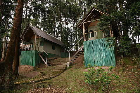 060226-2508.jpg