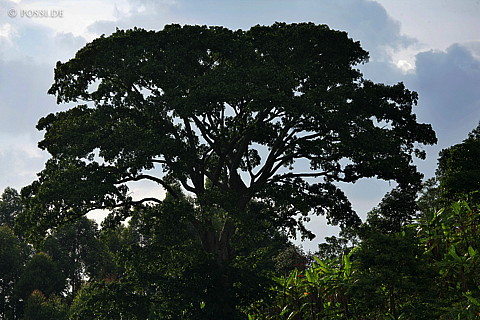 060226-2556.jpg