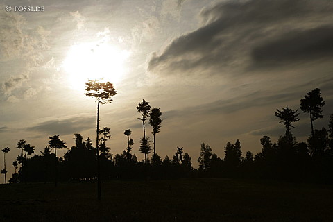 060227-2586.jpg