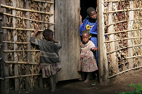 060227-2604.jpg