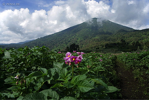 060227-2611.jpg