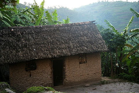 060228-2913.jpg