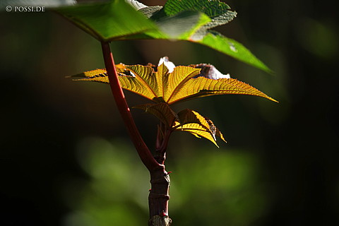 060228-2993.jpg