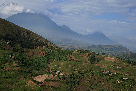 060228-2995.jpg