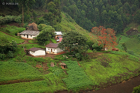 060228-3024.jpg