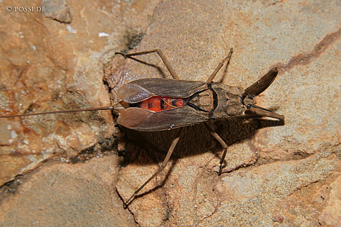 060301-3171.jpg