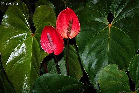 060301-3180.jpg