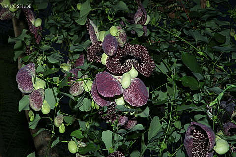 060301-3184.jpg