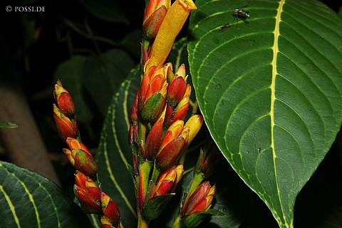 060301-3195.jpg