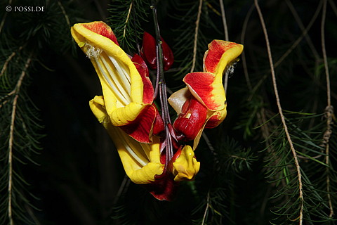060301-3203.jpg