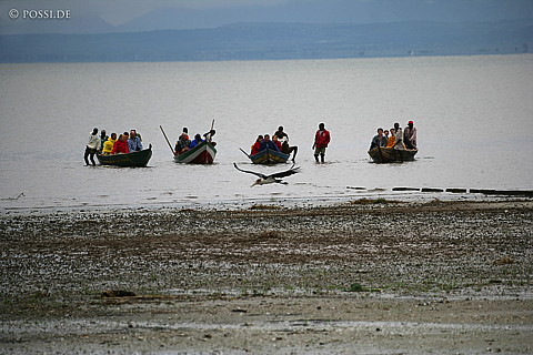 060302-3216.jpg