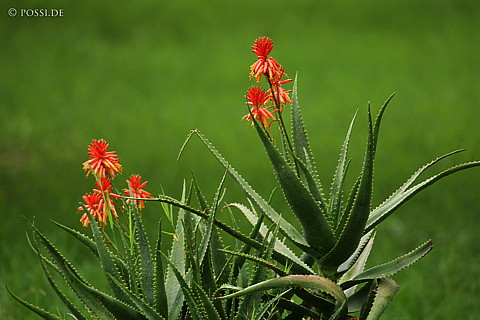 060302-3220.jpg