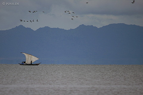 060302-3226.jpg