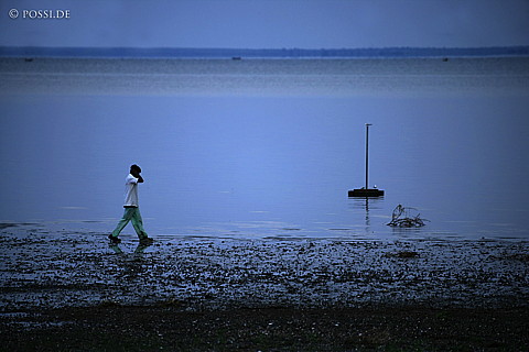 060303-3255.jpg