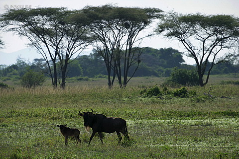 060303-3280.jpg