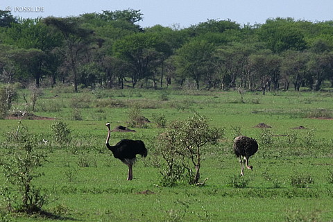060303-3328.jpg