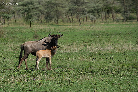 060303-3349.jpg