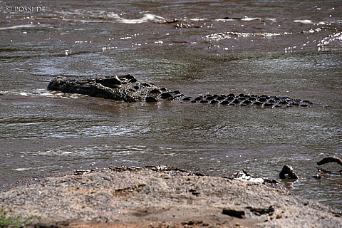 060303-3415.jpg