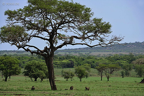 060303-3478.jpg